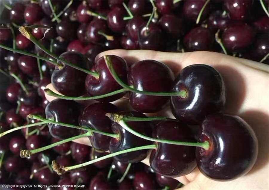܇ӈDƬ