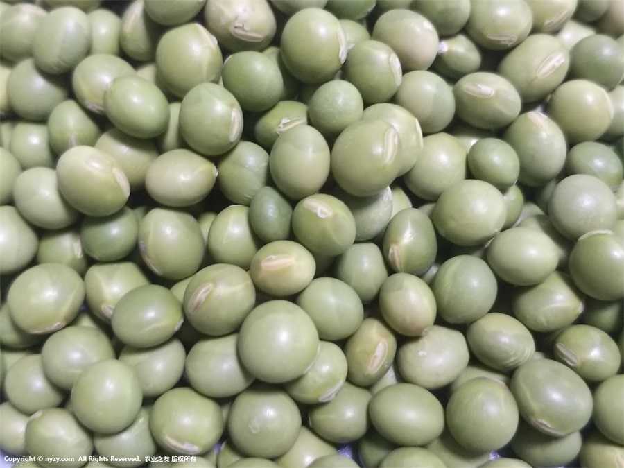 ඹͼƬ